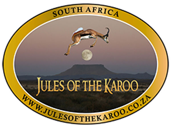 ~/upload/Lots/113043/AdditionalPhotos/2voqp3ryrm5lu/Jules of the Karoo_t600x450.jpg